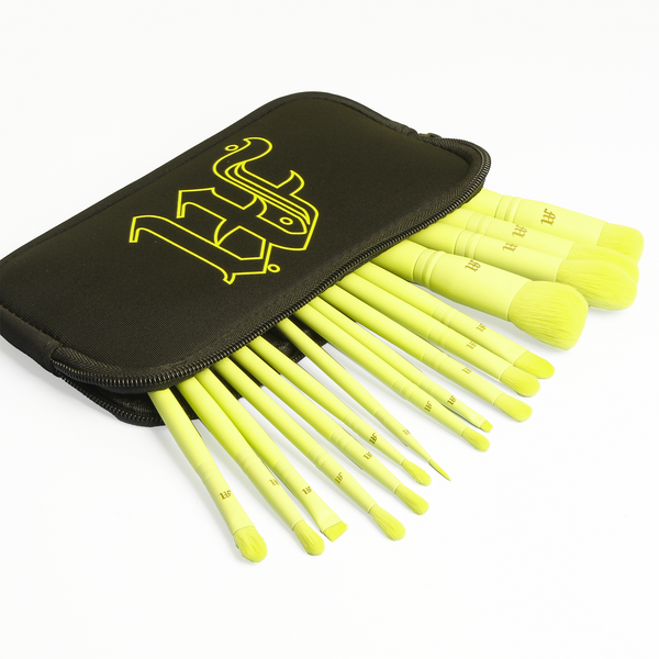 16 Piece Makeup Brush Set & Brush Pouch
