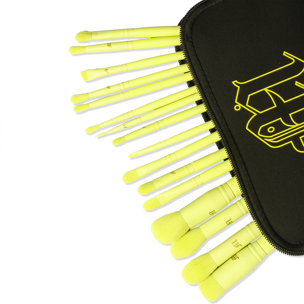 16 Piece Makeup Brush Set & Brush Pouch