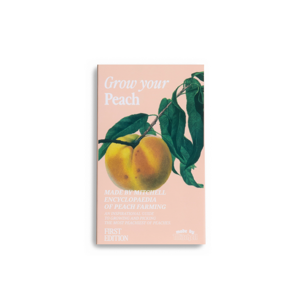 Paleta de colorete Mini Blursh Book
