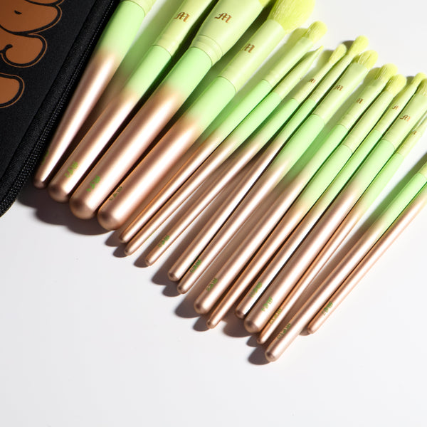 Set di pennelli da trucco 16 pezzi Ombre e astuccio per pennelli